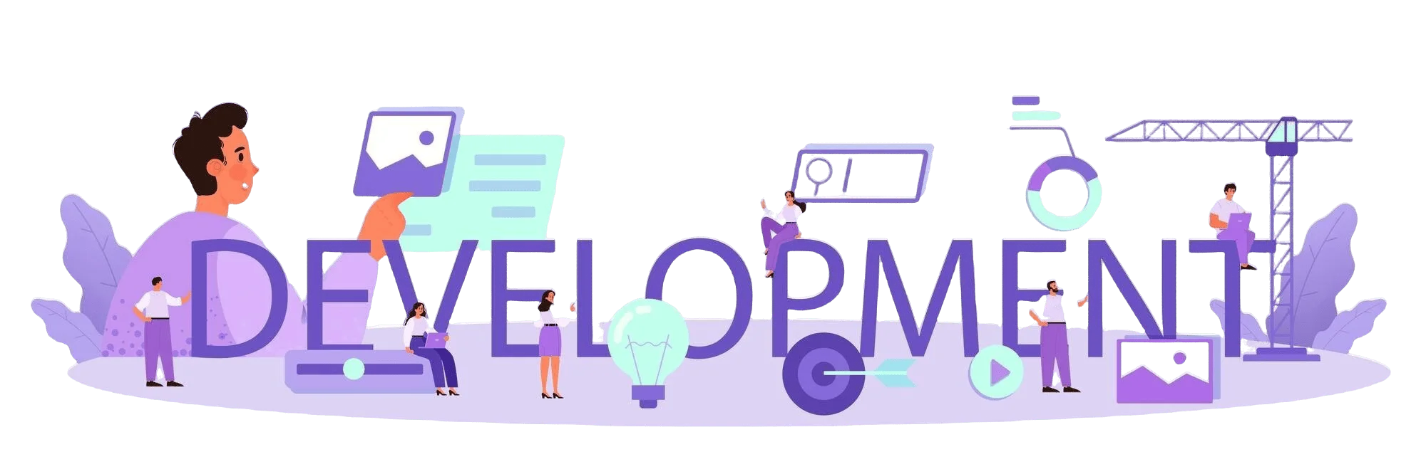 custom software development